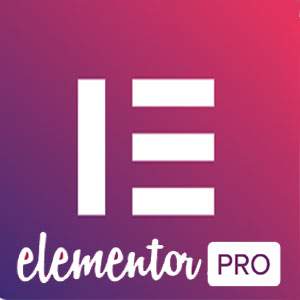 elementor-pro Elementor pro